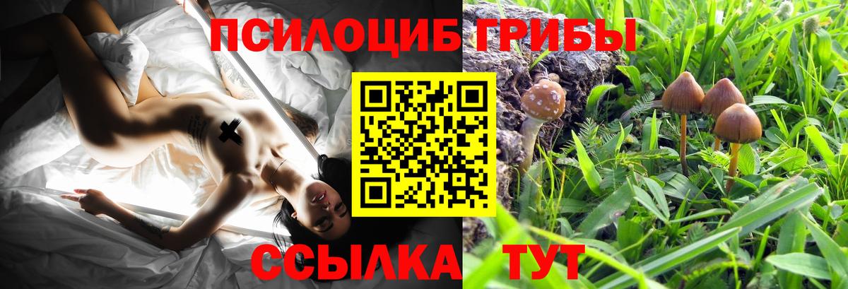 Псилоцибиновые грибы Magic Shrooms Советская Гавань